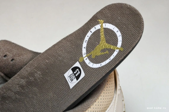 Retro Jordan  CT8532-102 CT8532-102 Palomino  3 0401